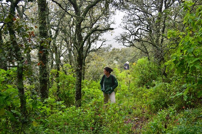 Nature Walk - Bufa Hill or Santa Rosa Area - Experience Highlights