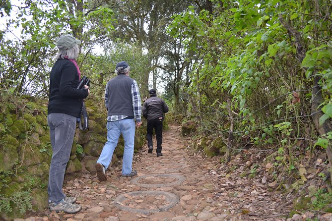 Nature Walk - Bufa Hill or Santa Rosa Area - Local Insights