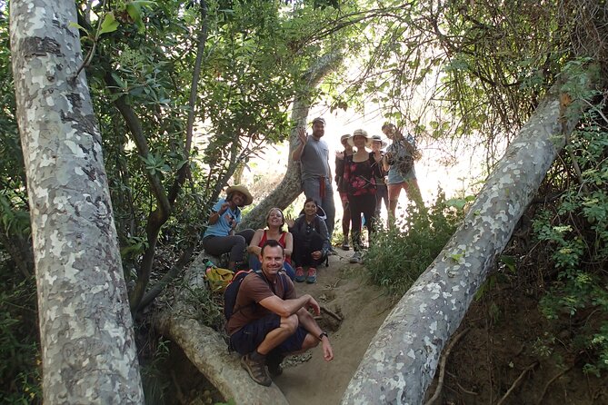 Nature Walk/Hike Tour Near Disneyland: ID Plants & Wildlife - Tips for a Memorable Experience