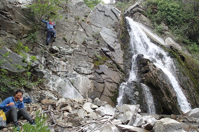 Nature Walk/Hike Tour Near Disneyland: ID Plants & Wildlife - Booking and Cancellation Policy