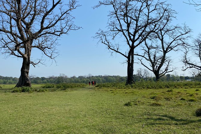 Nature Walk in Chitwan Jungle Safari With Guide - Reviews and Ratings