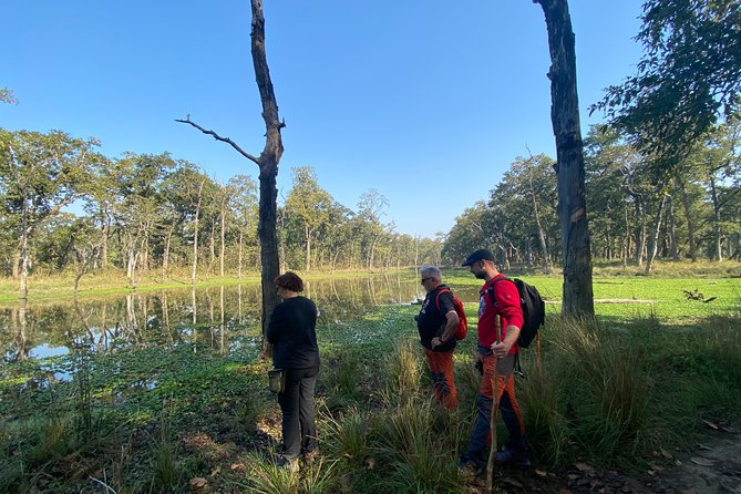 Nature Walk in Chitwan Jungle Safari With Guide - Exploring Chitwan Jungle
