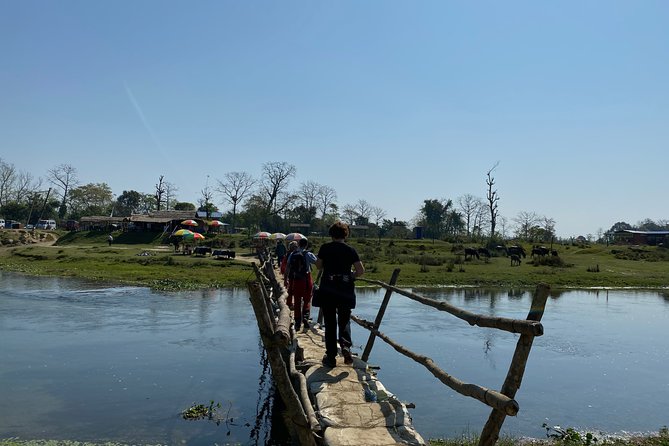 Nature Walk in Chitwan Jungle Safari With Guide - Wildlife Sightings