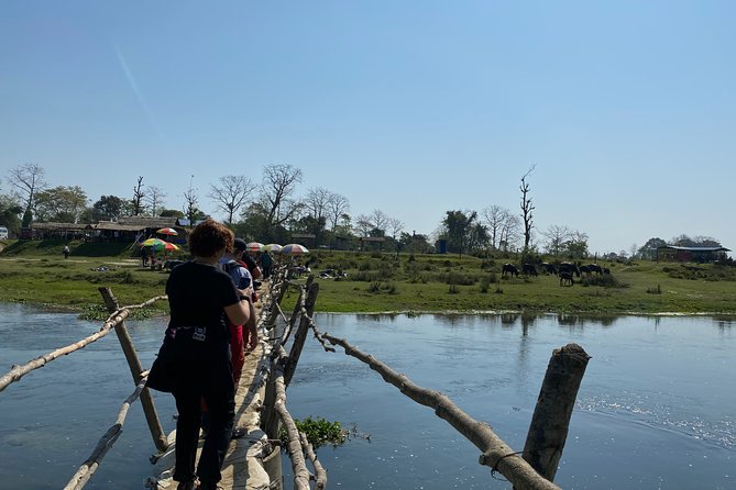 Nature Walk in Chitwan Jungle Safari With Guide - Guided Nature Walk