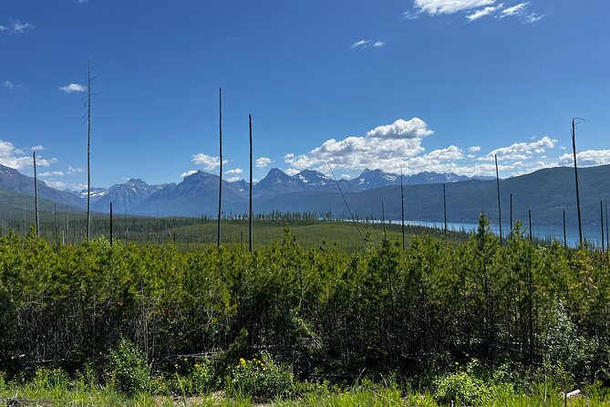 Nature Walk in Glacier National Park - Preparation and Gear Recommendations