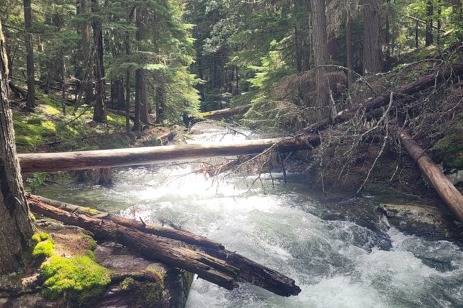 Nature Walk in Glacier National Park - Meeting and Transportation Details