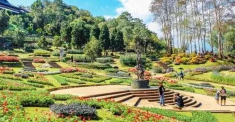 Nature Walk of Chandigarh( 2 Hours Walking Tour) - Guided Tour Features
