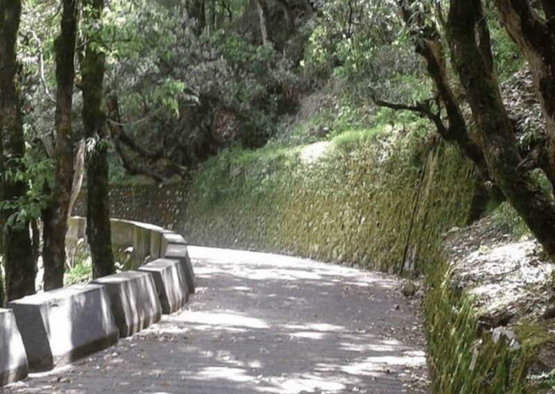 Nature Walk of Mussoorie (2 Hours Guided Walking Tour) - Itinerary Highlights