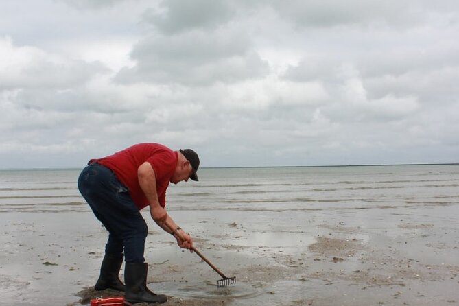 Nature Walk to Discover Noirmoutier and Its Charms - Exploring Local Culture and History