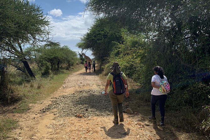 Nature Walk With Giraffes in Mombasa - Activity Overview