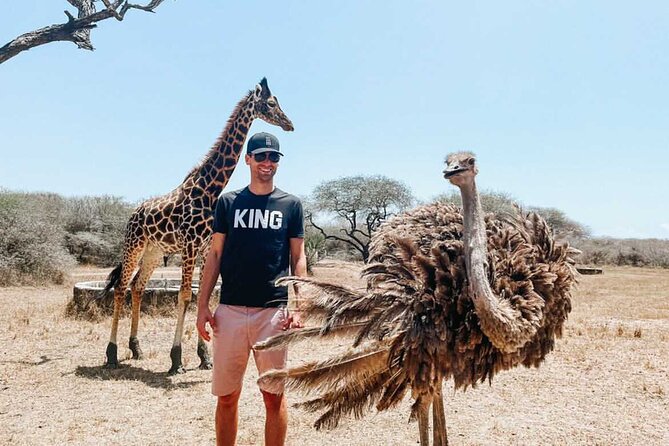 Nature Walk With Giraffes in Mombasa - Inclusions