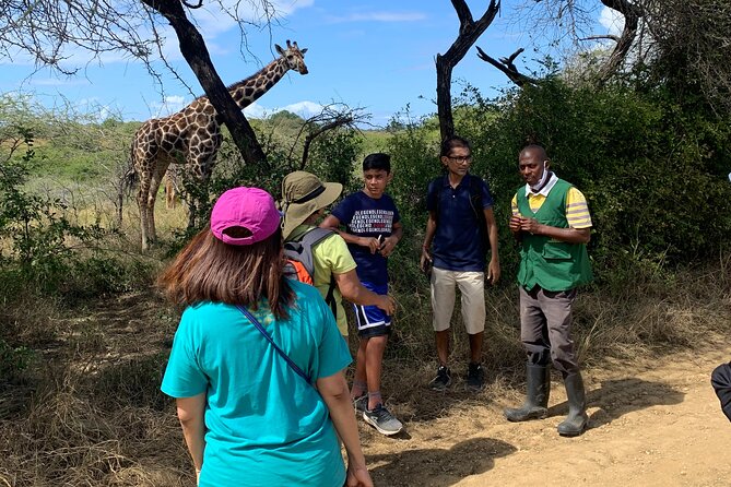 Nature Walk With Giraffes in Mombasa - Memorable Encounters