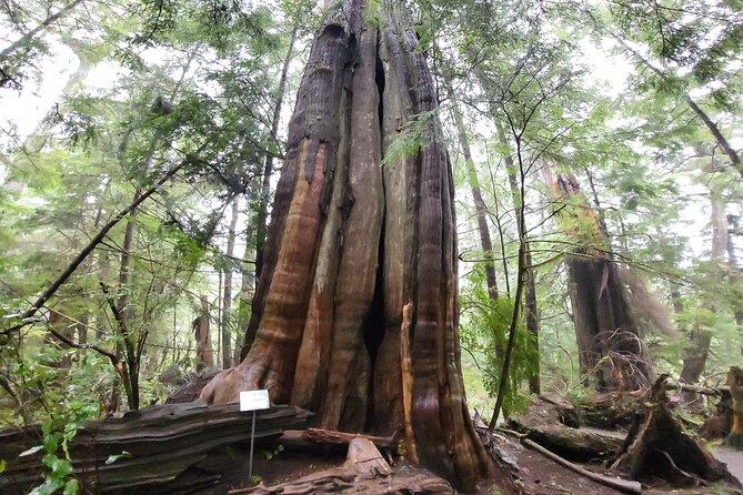 Nature Walks in Pacific - Inclusions for the Nature Walks