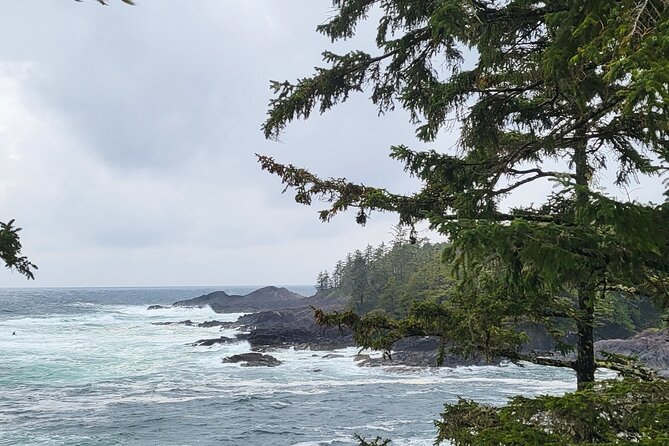 Nature Walks in Pacific - Accessibility and Restrictions