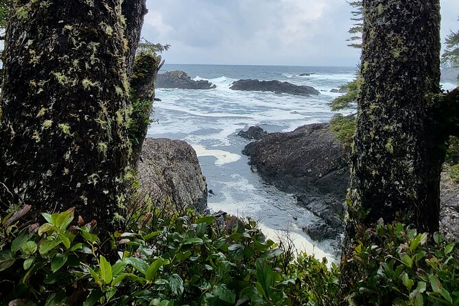 Nature Walks in Pacific - Highlights of the Nature Walks