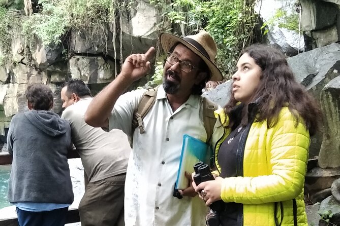 Nature-watching in the Protected Natural Area in Uruapan - Key Points
