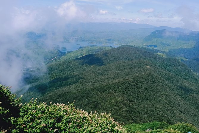 Nature | Wild | Culture | Hill Country | Tour in Sri Lanka 6N 7D - Inclusions and Exclusions Breakdown