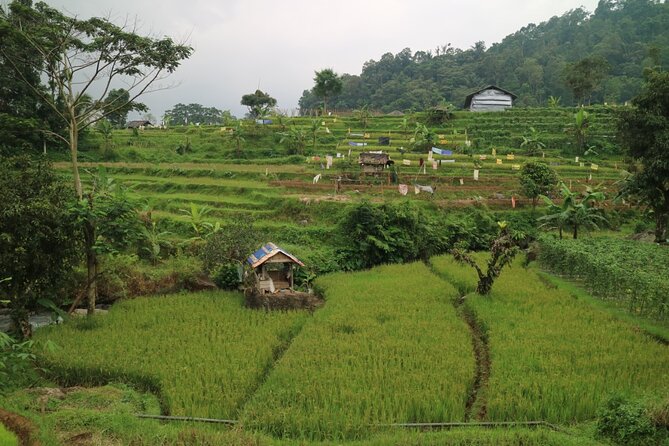 Natures Healing Bandung Country Side - Included Amenities and Pricing
