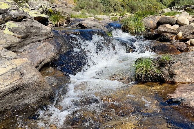 Natures Oasis: Waterfall Swim & Picnic at Fisgas De Ermelo - What to Bring and Wear