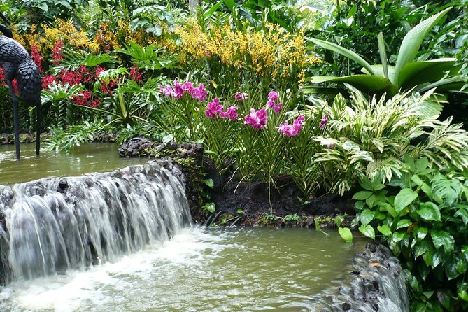 NatureTour :PenangHill(FastLane),BotanicGarden,KekLokSi,Ferringhi - Customizable Experience
