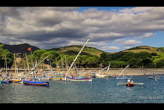Nausicaa. Discover Collioure and the Côte Vermeille From the Sea. - Traveler Feedback and Recommendations