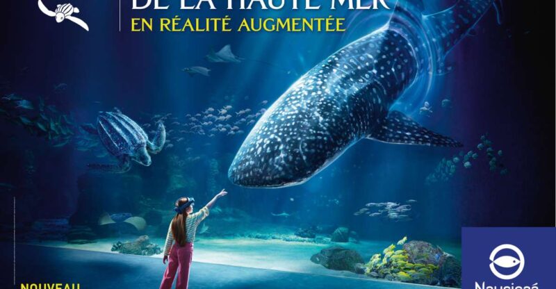 Nausicaá National Sea Center: Full-Day Entry Ticket - Attraction Overview