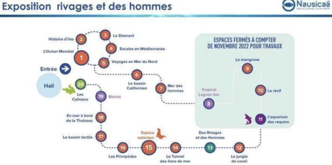 Nausicaá National Sea Center: Full-Day Entry Ticket - Frequently Asked Questions