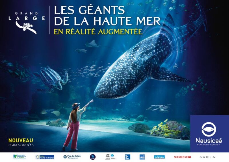 Nausicaa National Sea Center: Full-Day Entry Ticket - Key Points