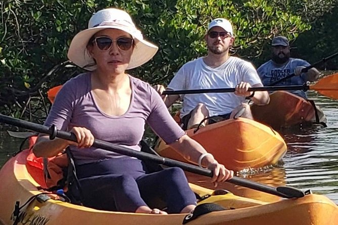 Nauti Exposures - Guided Kayak Tour Through the Mangroves - Fitness and Preparation