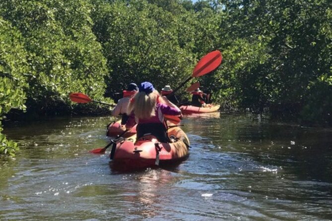Nauti Exposures - Guided Kayak Tour Through the Mangroves - Cancellation Policy