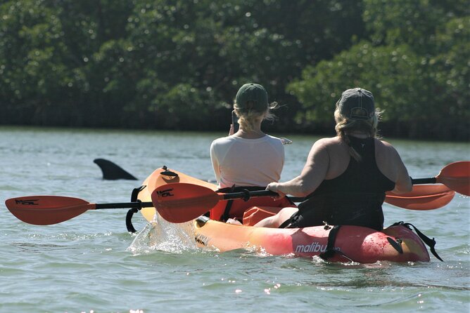 Nauti Exposures - Guided Kayak Tour Through the Mangroves - What to Expect
