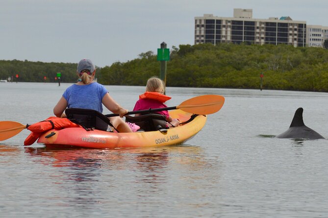 Nauti Exposures - Guided Kayak Tour Through the Mangroves - Additional Information