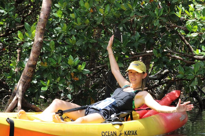Nauti Exposures - Kayak Rental Naples, FL - Business Overview