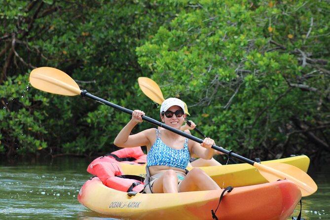 Nauti Exposures - Kayak Rental Naples, FL - Rental Inclusions