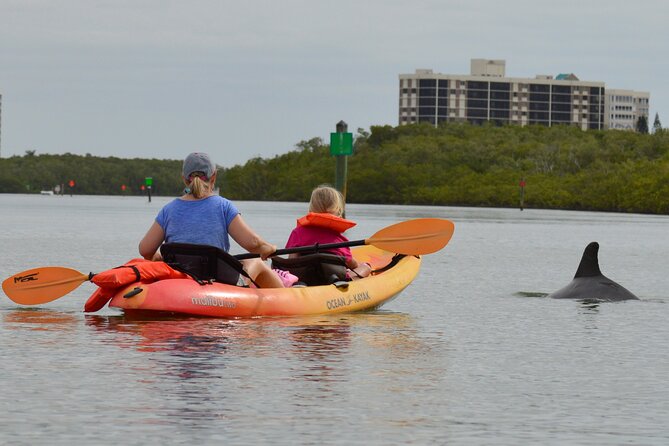 Nauti Exposures - Kayak Rental Naples, FL - Physical Fitness Requirement