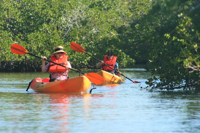 Nauti Exposures - Kayak Rental Naples, FL - Booking and Availability
