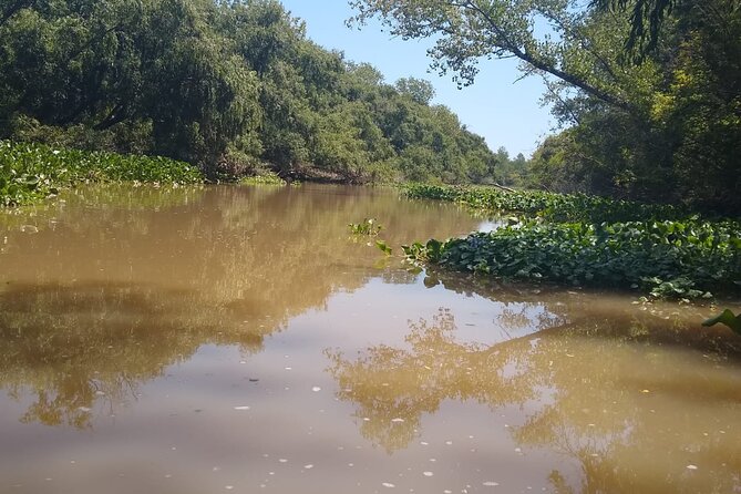 Nautical Safari in Tigre - Overview and Tour Details
