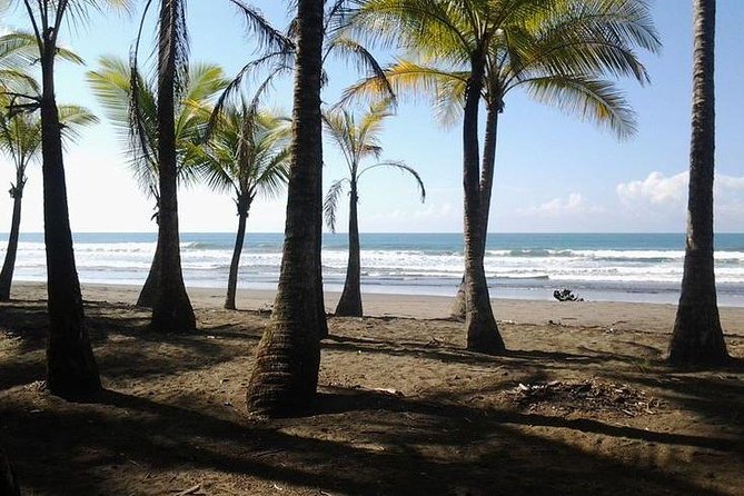 Nauyaca Waterfalls Hike and Surf Lessons - Key Points