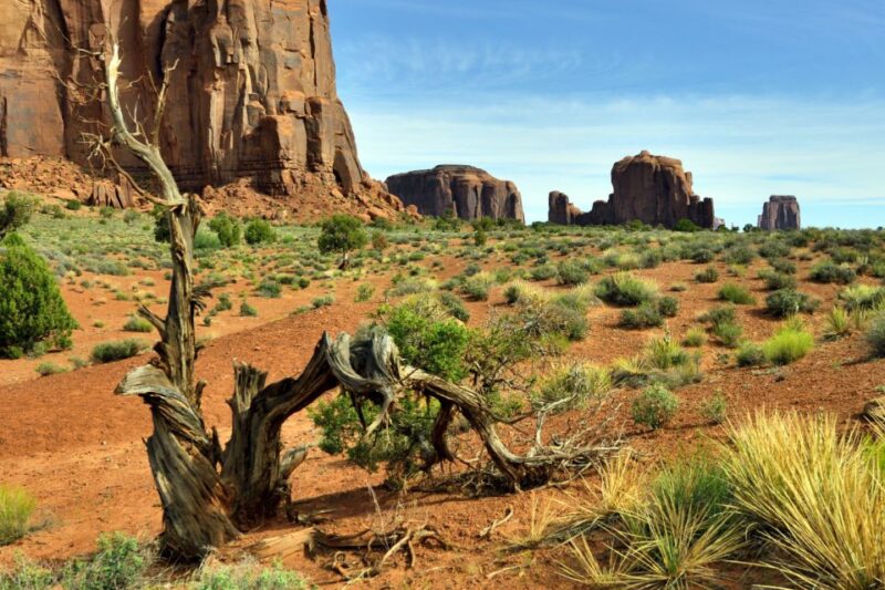 Navajo Tribal Park Monument Valley Self-Guided Driving Tour - Important Information