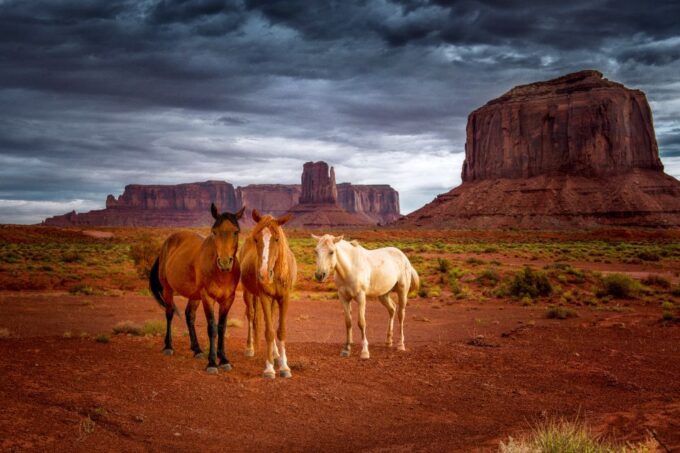 Navajo Tribal Park Monument Valley Self-Guided Driving Tour - Customer Feedback
