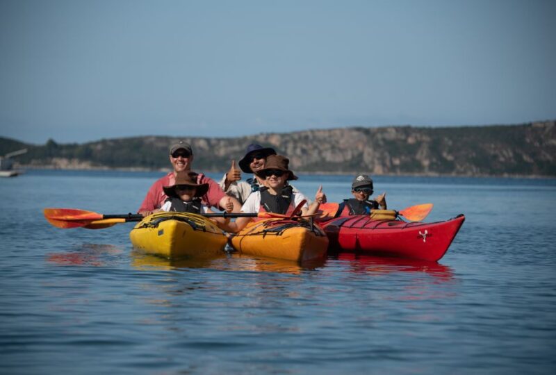 Navarino Bay: Sea Kayaking With Lunch - Key Points