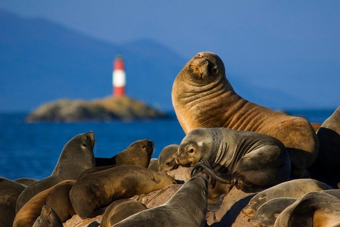 Navigation Beagle Channel Isla De Lobos - Isla De Lobos: Seal Haven