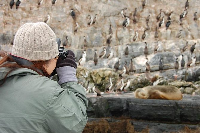 Navigation Beagle Channel Isla De Lobos - Scenic Cruising and Wildlife