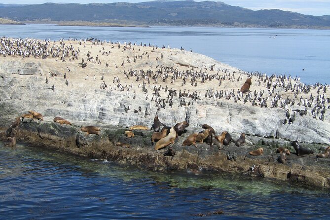 Navigation in the Beagle Channel With Minitrekking USHUAIA - Health and Accessibility Considerations