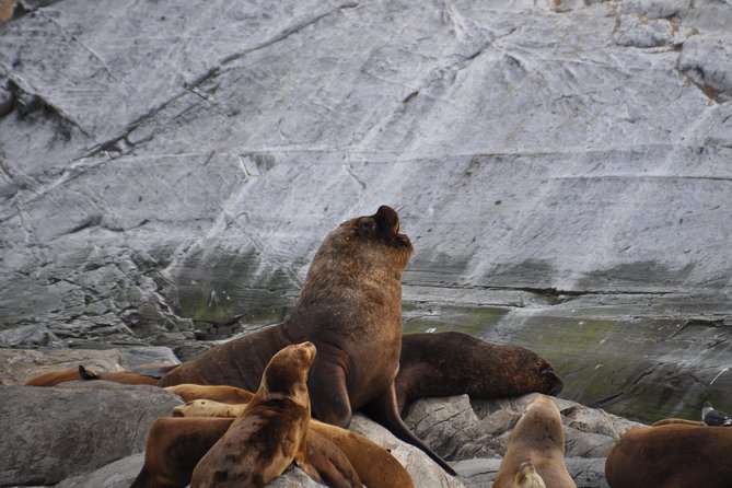Navigation in the Beagle Channel With Minitrekking USHUAIA - Meeting and Pickup Details