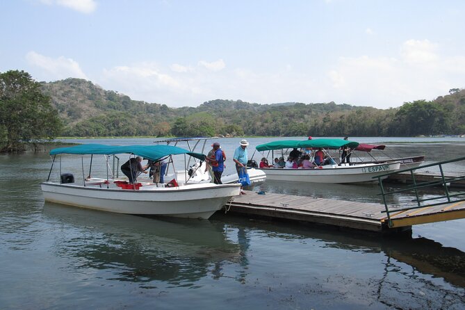 Navigation in the Panama Canal, Gatun Lake and Sloth Sanctuary - Visiting the Sloth Sanctuary