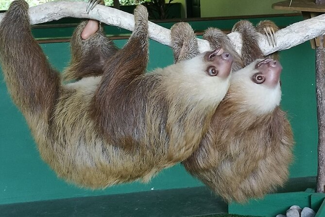 Navigation in the Panama Canal, Gatun Lake and Sloth Sanctuary - Guided Tour and Historical Context