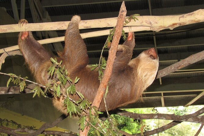 Navigation in the Panama Canal, Gatun Lake and Sloth Sanctuary - Feedback From Previous Customers