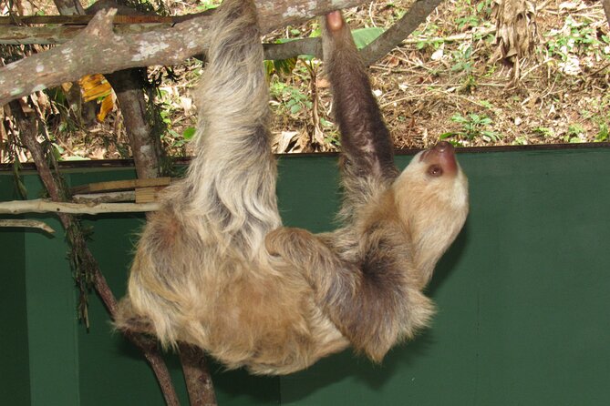 Navigation in the Panama Canal, Gatun Lake and Sloth Sanctuary - Preparing for the Tour
