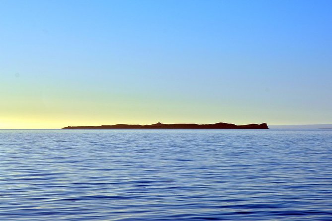 Navigation Magdalena Island and Marta - Tour Overview